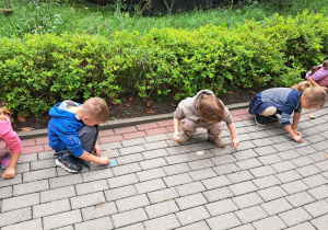 Dzieci z grupy Biedronki rysują kolorową kredą kropki na chodniku przed przedszkolem, świętując Dzień Kropki.