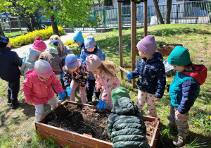 Dzieci z grupy Krasnale stoją w ogrodzie wokół skrzyni ogrodowej, mają na rękach rękawiczki i wspólnie sadzą kolorowe kwiatki. Przedszkolaki z zaangażowaniem pracują przy ziemi, ucząc się pielęgnacji roślin i dbania o przyrodę. Wiosenna atmosfera sprzyja wspólnej pracy i radosnej zabawie na świeżym powietrzu.