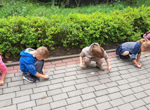 Dzieci z grupy Biedronki rysują kolorową kredą kropki na chodniku przed przedszkolem, świętując Dzień Kropki.