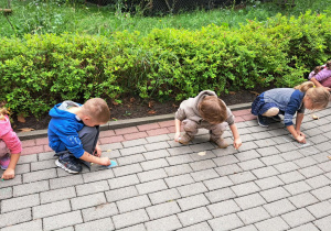 Dzieci z grupy Biedronki rysują kolorową kredą kropki na chodniku przed przedszkolem, świętując Dzień Kropki.