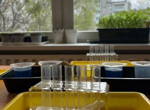 Na zdjęciu widoczne są probówki laboratoryjne używane do doświadczeń chemicznych. Są ustawione w stojaku gotowe do przeprowadzenia eksperymentu.