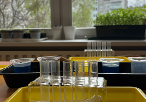 Na zdjęciu widoczne są probówki laboratoryjne używane do doświadczeń chemicznych. Są ustawione w stojaku gotowe do przeprowadzenia eksperymentu.